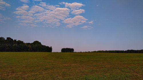 Scenic view of field against sky