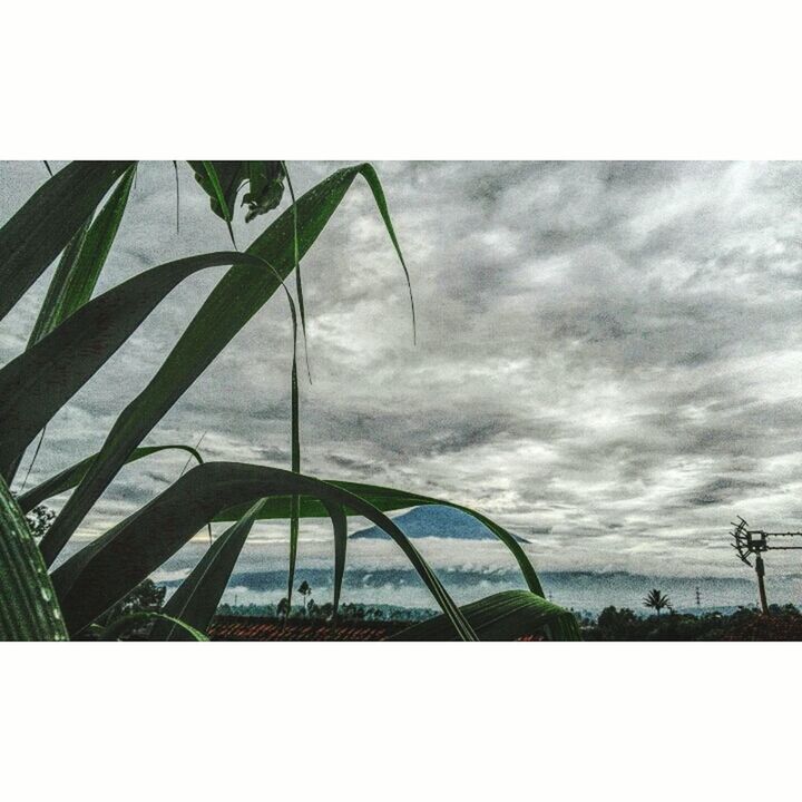 VIEW OF CLOUDY SKY