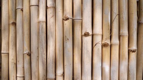 Full frame shot of bamboo fence