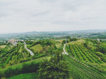 High angle view of vineyard against sky