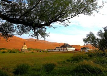 Houses on field against sky