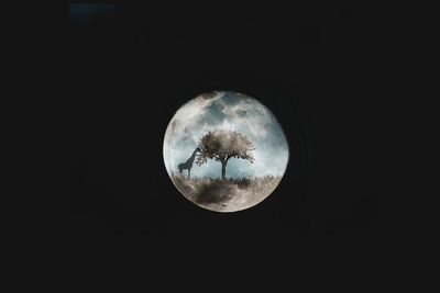 Low angle view of moon in sky