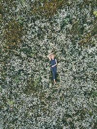 Beautiful girl lies in camomile daisy flower. view from above. aerial photography.