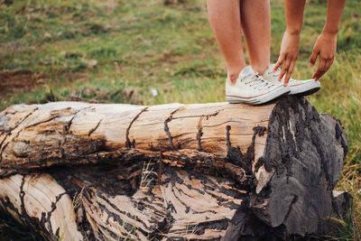 Low section of woman standing on tree trunk