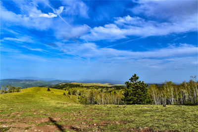 Scenic view of field against sky