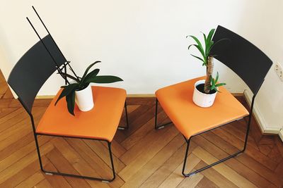 Close-up of potted plant on table at home