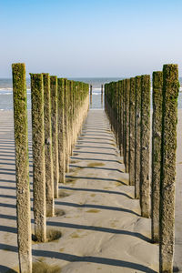 Wooden posts on beach against clear sky