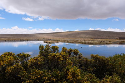 Scenic view of lake by trees against sky