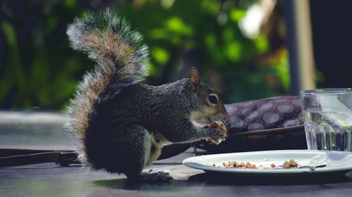 View of a eating food on table