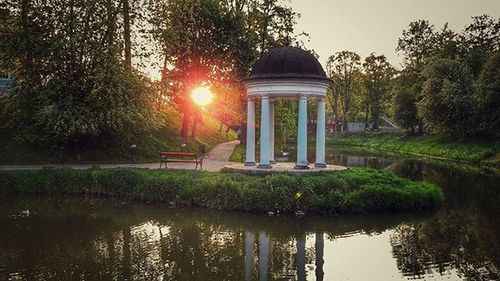 Reflection of trees in lake