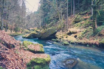 River flowing through rocks