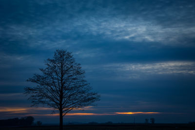 Low angle view of silhouette tree against sky at sunset