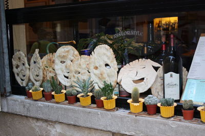 Potted plants for sale at market