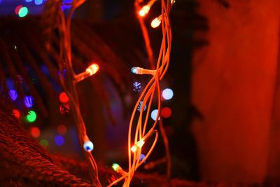 Close-up of illuminated string lights