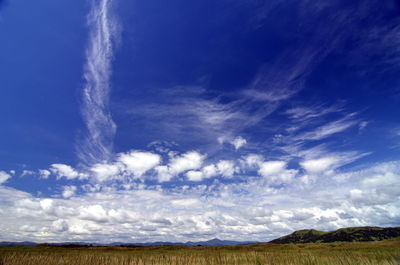 Scenic view of landscape against blue sky