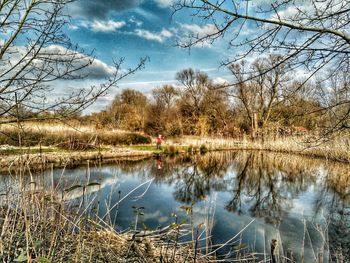 Reflection of trees in lake