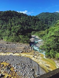 Scenic view of river amidst trees against sky