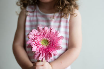 Midsection of girl holding pink gerbera daisy while standing against wall