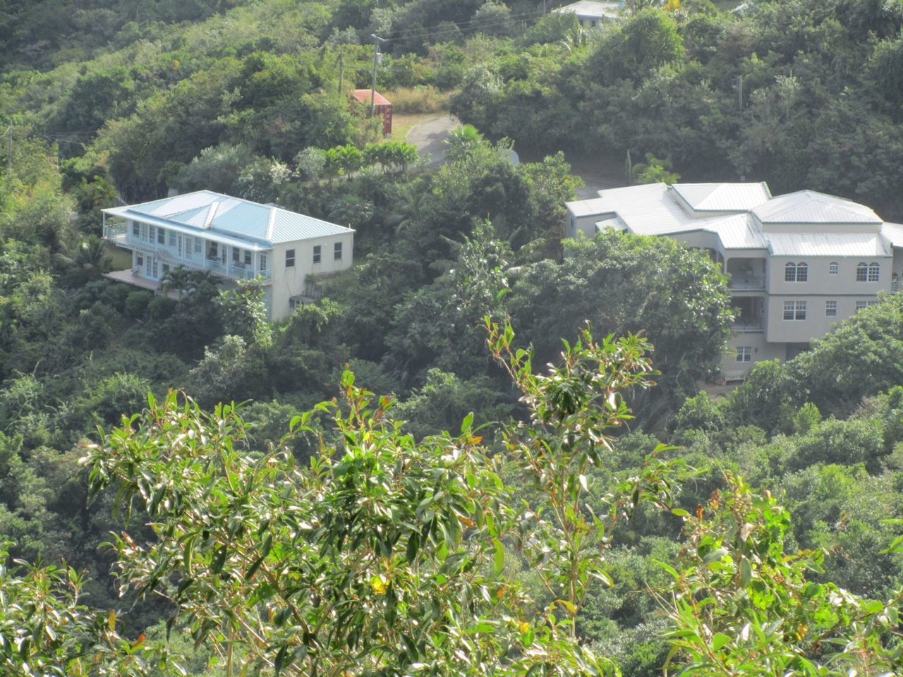 building exterior, architecture, built structure, tree, house, growth, green color, residential structure, plant, residential building, lush foliage, building, day, high angle view, outdoors, no people, nature, roof, sunlight, city