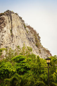 Low angle view of tree against mountain