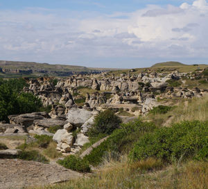 Overview of hoo doos at writing-on-stone provincial park