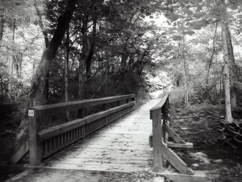 Footbridge in forest