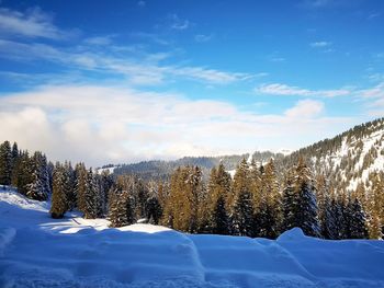 Snow covered landscape against sky