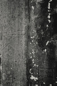 Full frame shot of tree trunk against wall