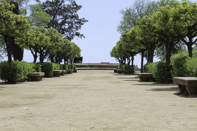 Footpath amidst trees against clear sky