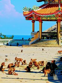 People on beach