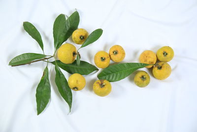 Close-up of fruits against white background