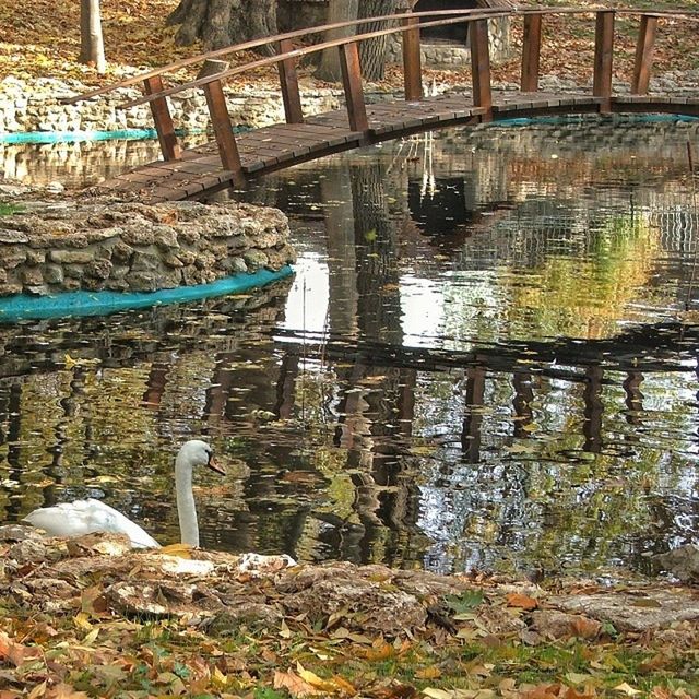 water, reflection, built structure, lake, architecture, rock - object, outdoors, day, nature, river, no people, tree, pond, high angle view, tranquility, building exterior, sunlight, bird, stone - object, lakeshore