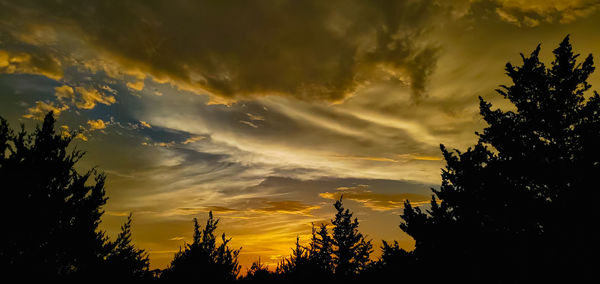 Low angle view of silhouette trees against sky during sunset