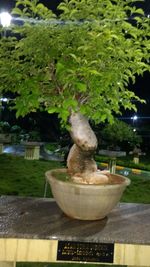 Close-up of fountain against trees