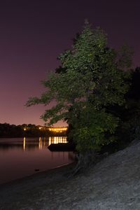 Reflection of trees in water at night