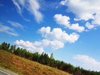 Low angle view of trees against sky