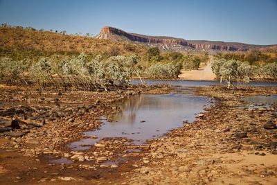 Scenic view of landscape against clear sky
