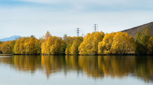 Scenic view of lake by trees against sky