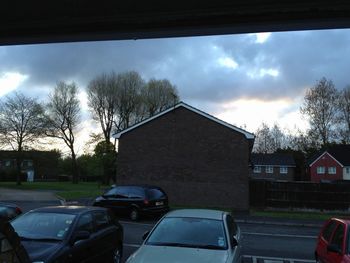 Bare trees against cloudy sky