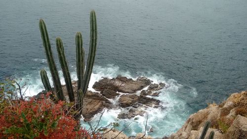 High angle view of rocks in sea