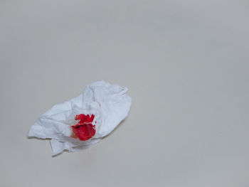 Close-up of rose against white background