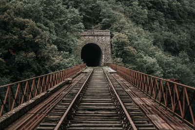 Rusty train tracks lead into a dark tunnel in a desaturated landscape