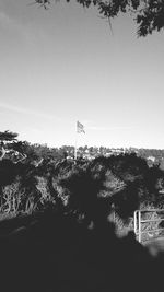 Low angle view of silhouette trees against clear sky