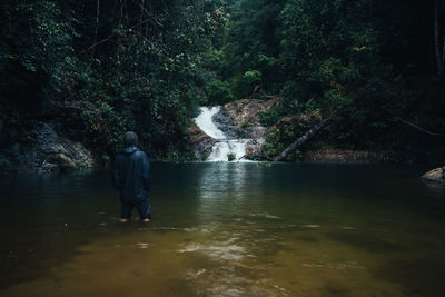 Rear view of man on river flowing in forest