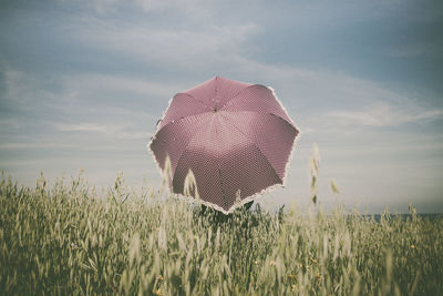 Umbrella on field against sky