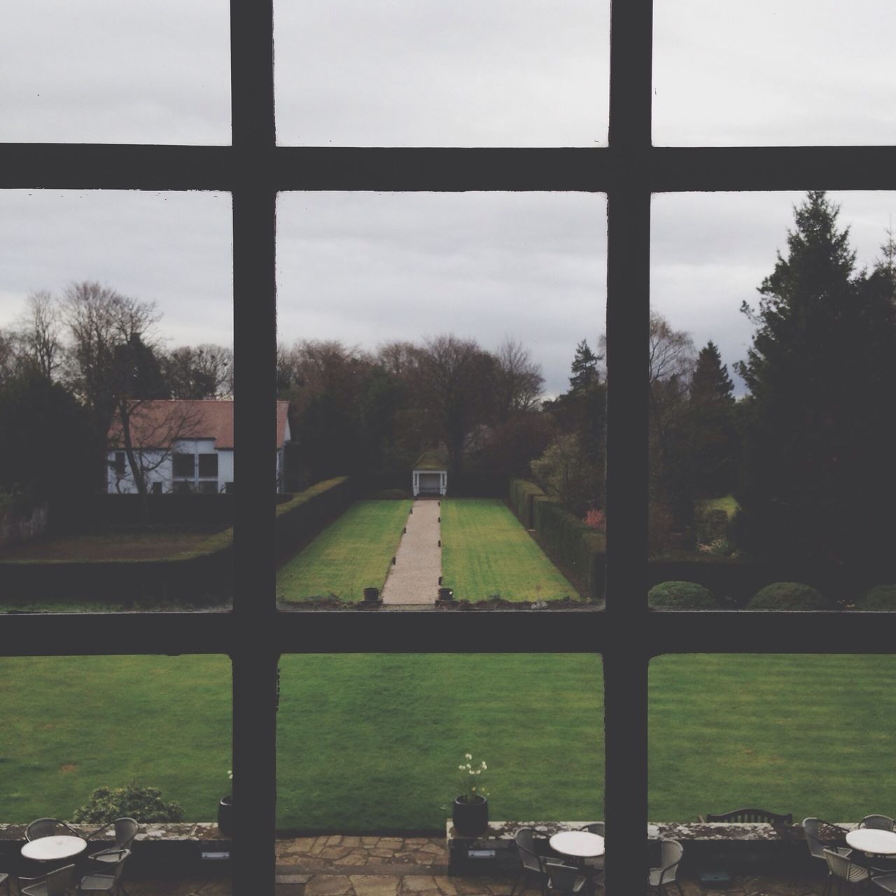 tree, window, built structure, sky, architecture, indoors, glass - material, transparent, day, building exterior, park - man made space, grass, no people, metal, fence, green color, nature, cloud - sky, growth, field