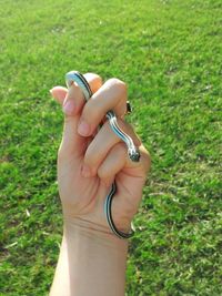 Cropped image of hand holding snake against grassy field