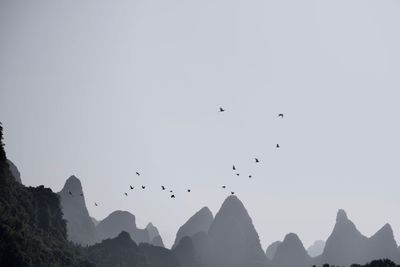 Low angle view of silhouette birds flying against sky