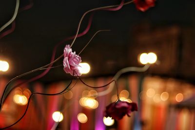 Low angle view of illuminated electric lamp at night