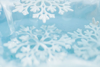 Close-up of water drops on window